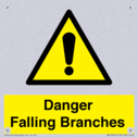 danger-falling-branches~